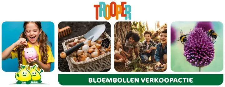 Bloembollenshop.com